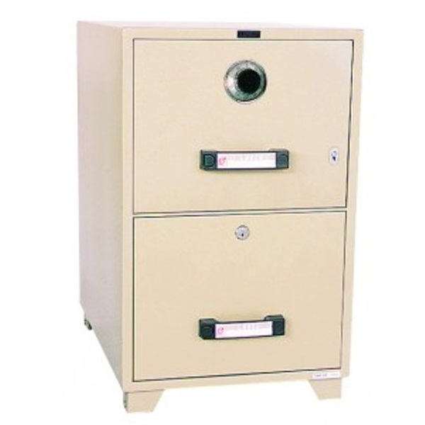 Fire Safe File 2 Drawer Matttroy