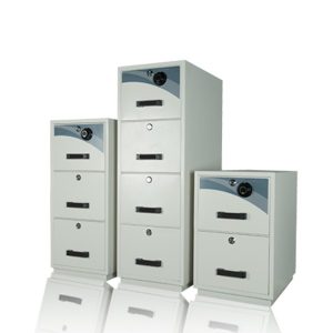 Fire Resistant Cabinet Series