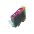 BCI 6M