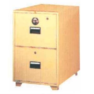 LION 2 Drawer Fire Resistant Cabinet FR2