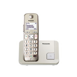 Panasonic Cordless Phone KX-TGE210ML