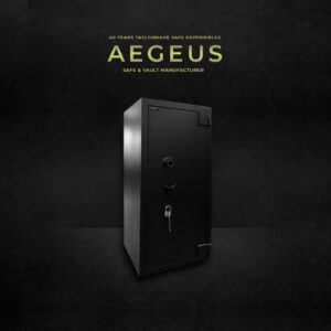 AEGEUS Safe Box Series