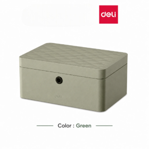 DELI Fingerprint Jewelry Box AE205 (Jewellery Safe)